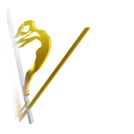 anima vinctum logo V