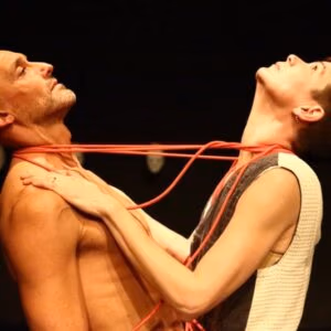 bewegingstheater het archetype archetypes anima vinctum