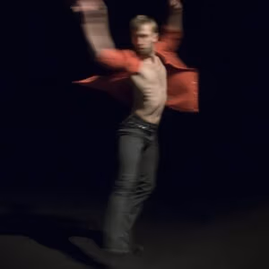 no love dansvoorstelling anima vinctum