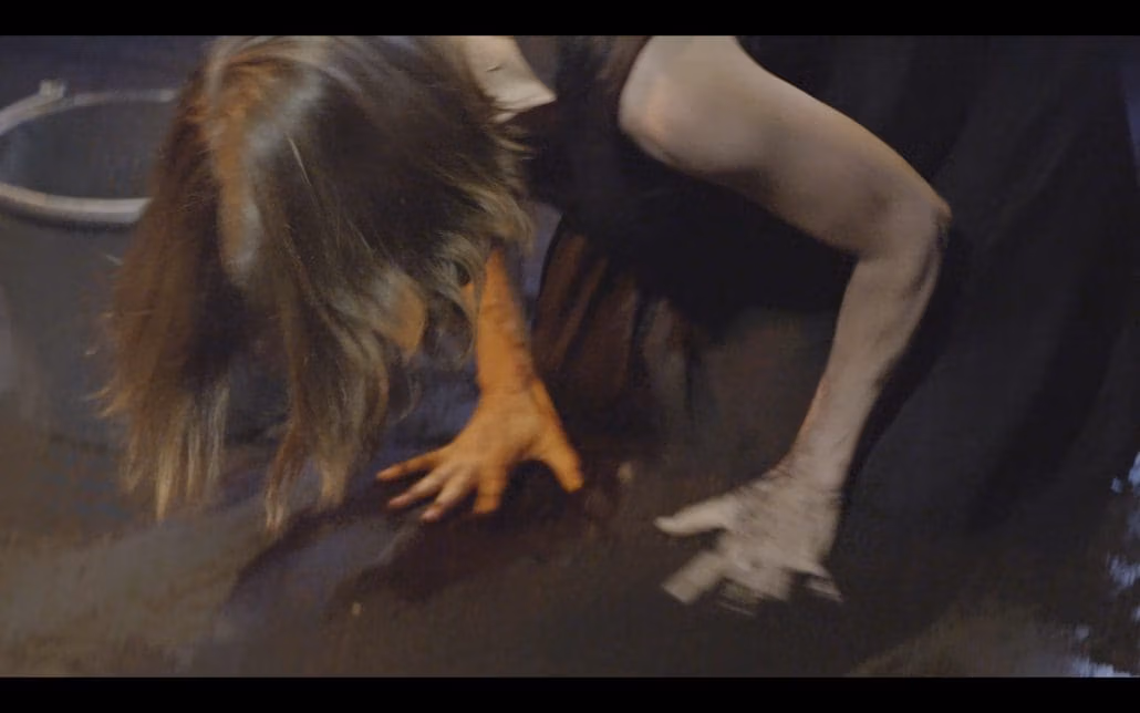 W O L F | Anima Vinctum | wolf