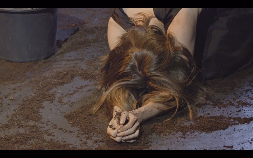 W O L F | Anima Vinctum | wolf
