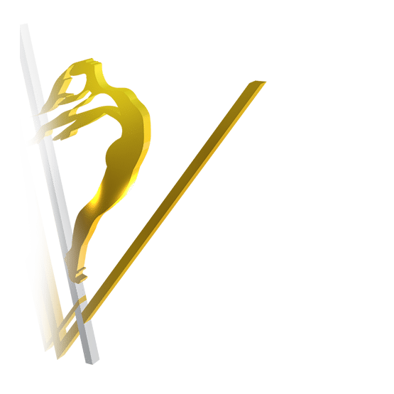 anima vinctum logo V